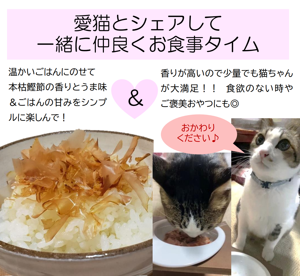 猫ちゃんご飯おやつセット - キャットフード